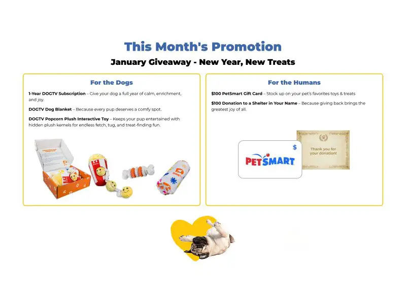 DogTV January Giveaway - New Year, New Treats - Win DogTV Subscription, Toys & More