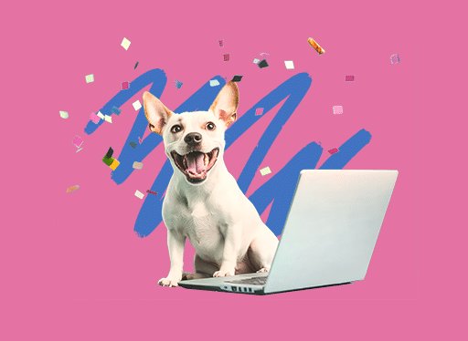 DOGTV “May” Sweepstakes