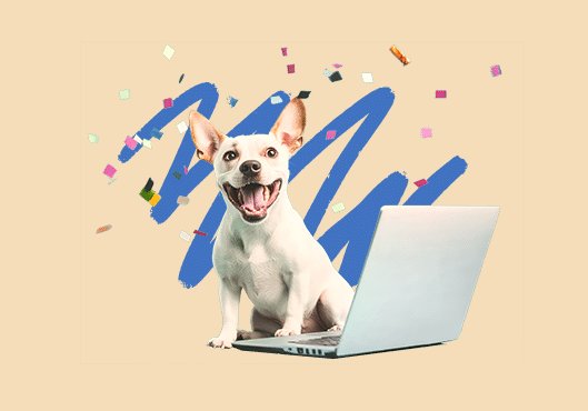 DogTV September Giveaway  - $100 Gift Card, Charity Donation, Toys & More Up For Grabs