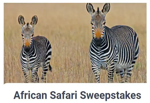 Dollar Flight Club African Safari Sweepstakes - Win A $7,000 Trip For 2 To Hippo Lakes, South Africa
