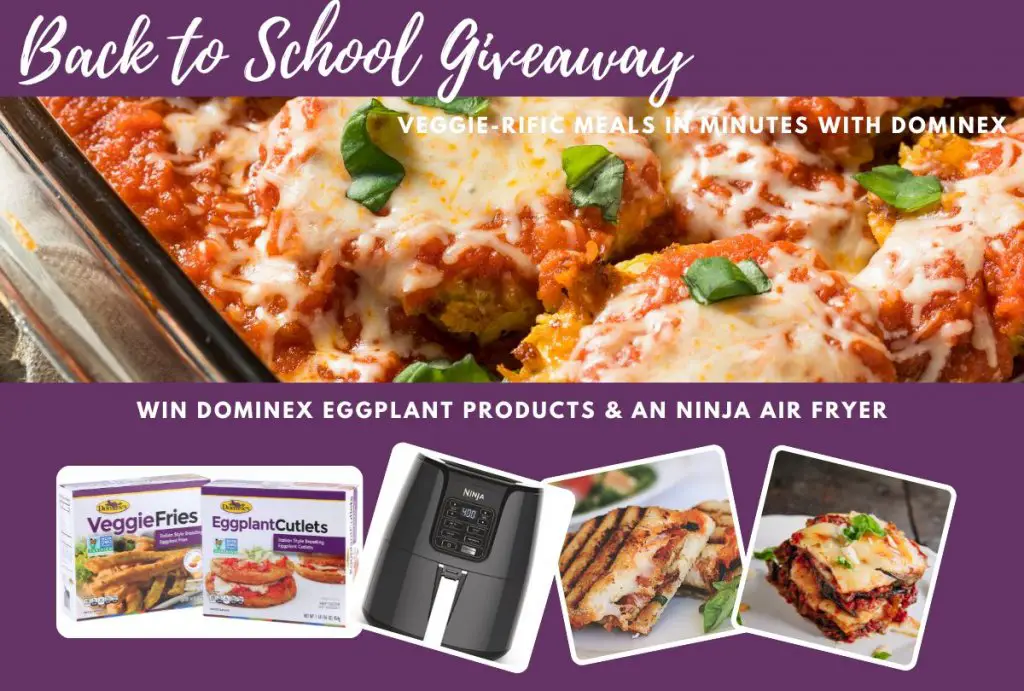 Dominex Back To School Giveaway - Win A Ninja Air Fryer + Dominex Eggplant Products