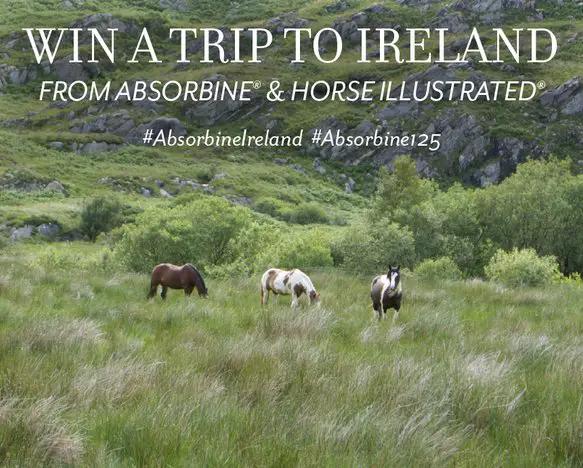 Dream Riding Vacation to Ireland Contest