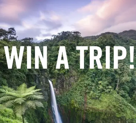 Dream Vacation Sweepstakes