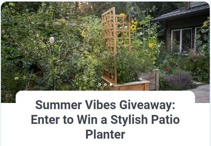 Eartheasy Summer Vibes Giveaway - Win A Stylish Patio Planter