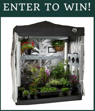 Eco Garden House Indoor Greenhouse Giveaway!