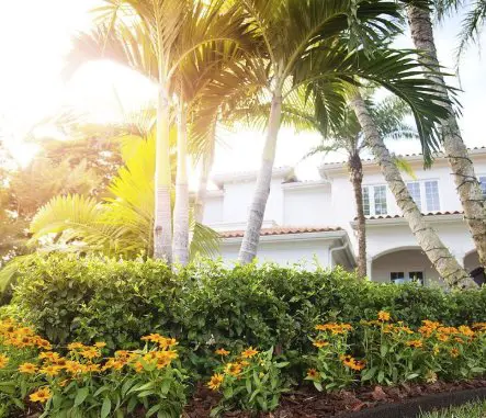 Ecoborder Landscape Edging Giveaway