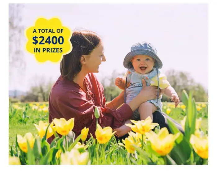 Enfamil March Rewards Sweepstakes 2024 - Win $2,400 Worth Of Baby Products