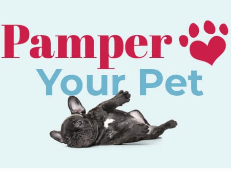 Enter for a Chance to Pamper Your Pet