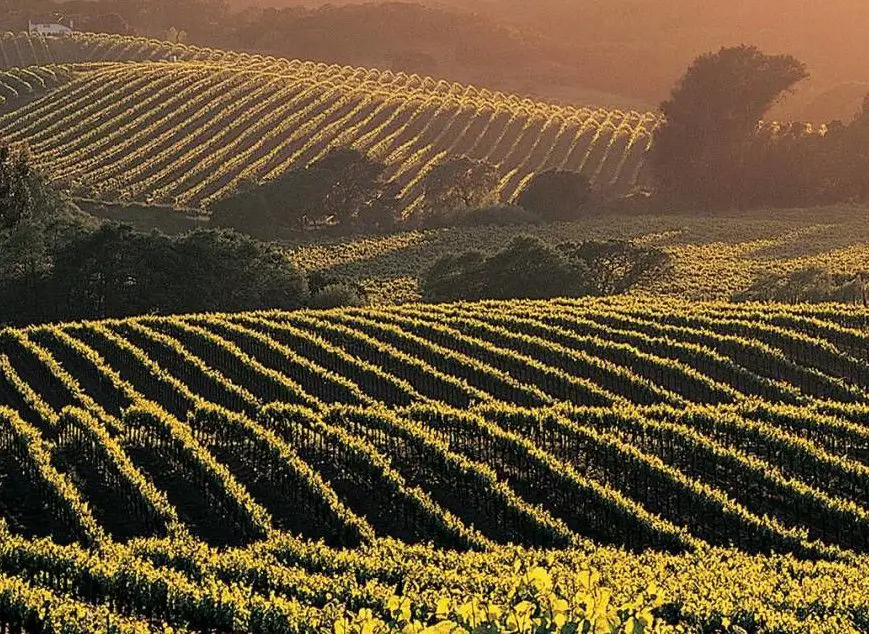 Enter for a chance to WIN a Getaway to Napa Valley!