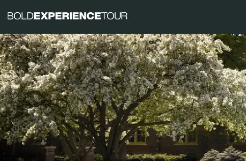 Be BOLD and enter the $4,300 Numi Toilet Bold Experience Tour Sweepstakes