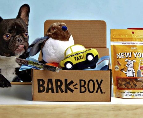 Enter To Win A Free 6 Month Subscription To BarkBox