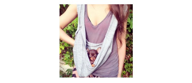 Enter to Win a HeartPup Sling Seen on Shark Tank!