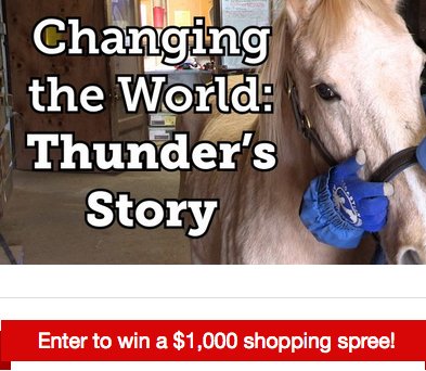 Equine Super Spree Sweepstakes