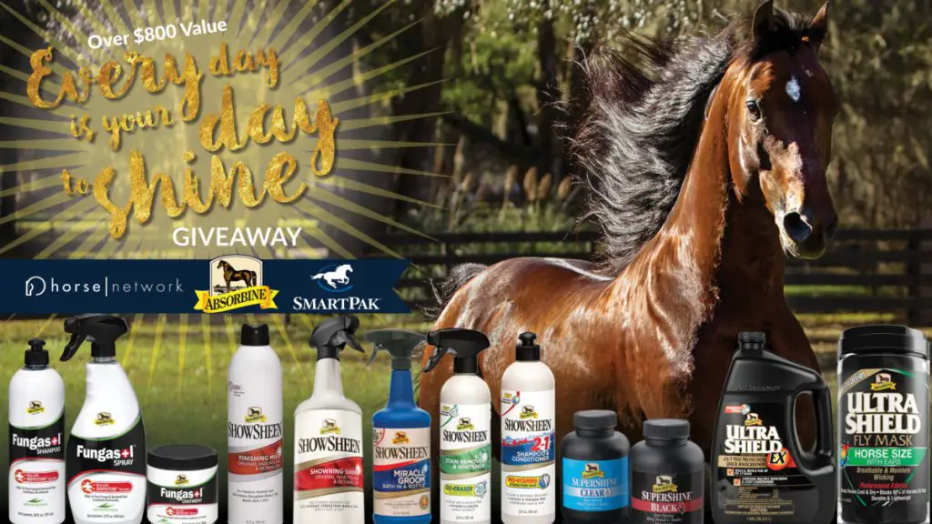Horse Lovers, Everyday is Your Day to Shine Giveaway!