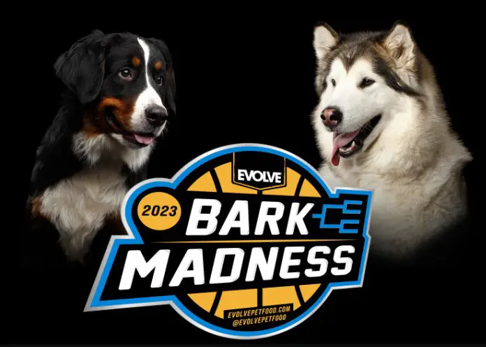 Evolve Pet Food Evolve Bark Madness - Win A $600 Gift Card, Dog Bed And Dog Bowl