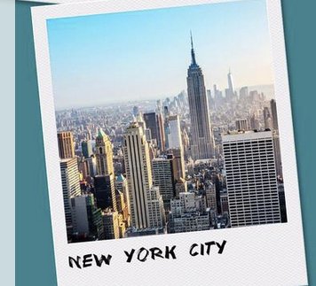 Executive Experience Sweepstakes