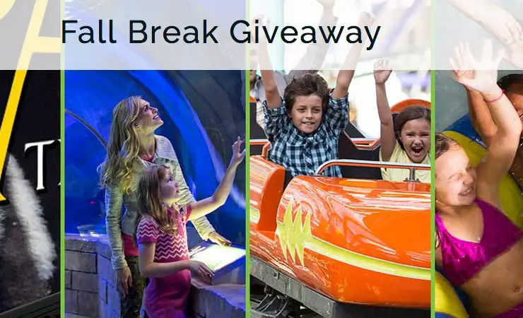 Fall Break Giveaway - Big Adventure Awaits!