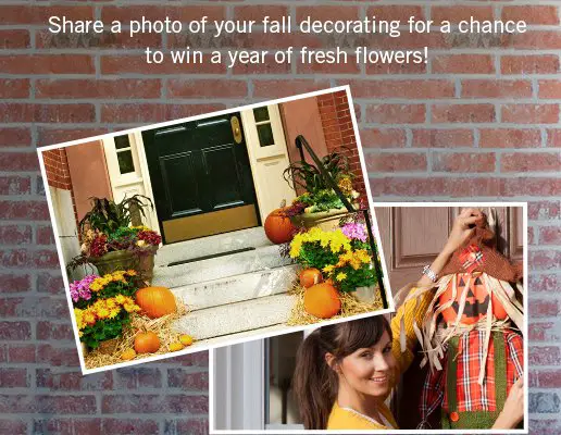 Fall Decorating 2017 Sweepstakes