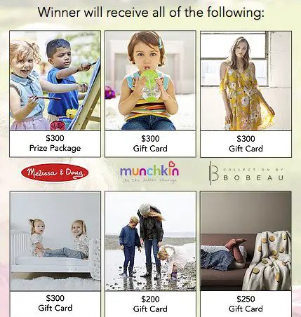 Family Fun Sweepstakes