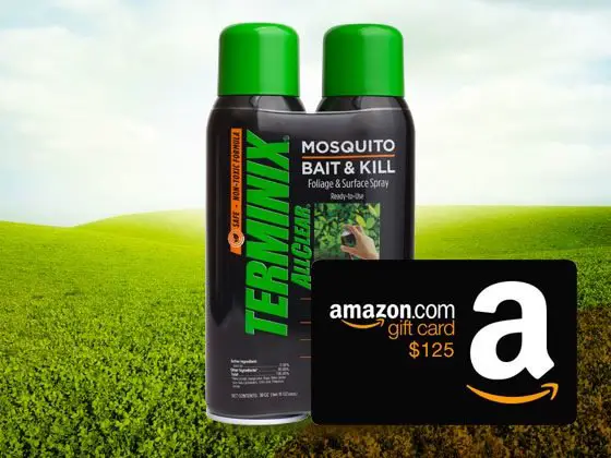 Fast Enter: Win a $125 Amazon Gift Card! (3)