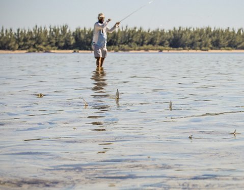 Father's Day Fishing Sweepstakes