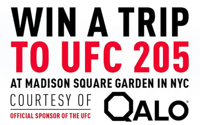 Fight For It! UFC 205 Sweepstakes!