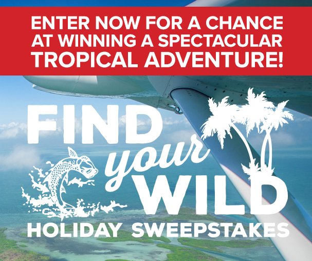 Find Your Wild Holiday Sweepstakes!