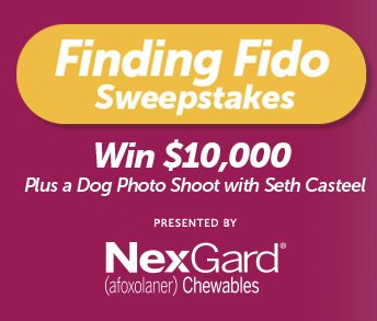 Finding Fido Sweepstakes