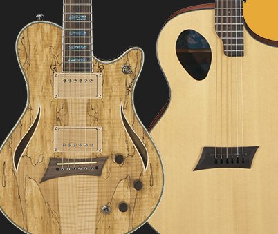 Fishman Win 2 Guitars Contest