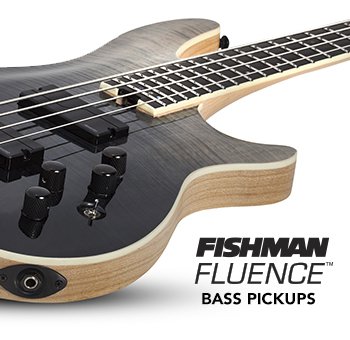 Fishman Win a Schecter Bass Guitar Contest