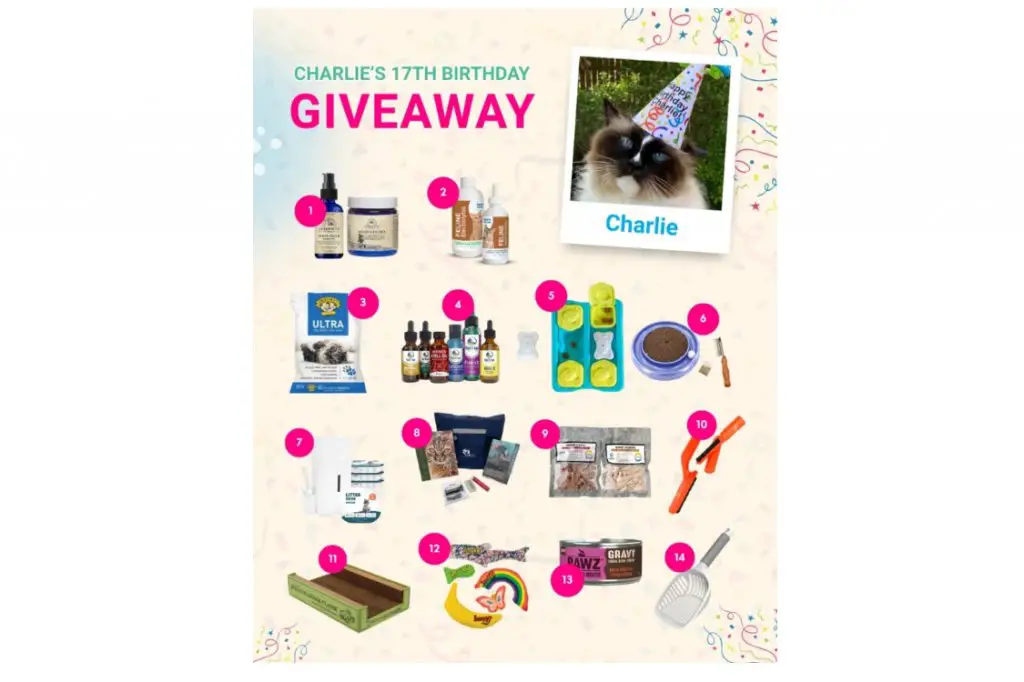 Floppycats.com Charlie’s 17th Birthday Favorite Cat Products Giveaway - Win A Prize Package For You & Your Favorite Cat Shelter