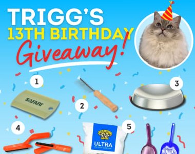 FloppyCats.com's Trigg’s 13th Birthday Favorite Cat Products Giveaway