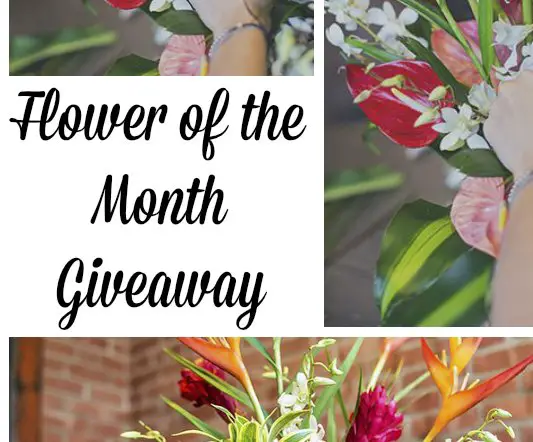 Flower of the Month Club