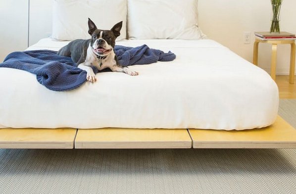 Floyd And Tuft & Needle Sweepstakes!