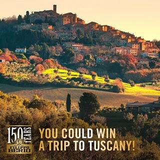 Following Olive Oil Sweepstakes