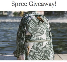 Free Backpack & Shopping Spree