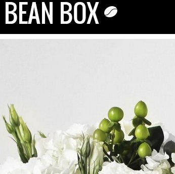 Free Bean Box Coffee and Mattress