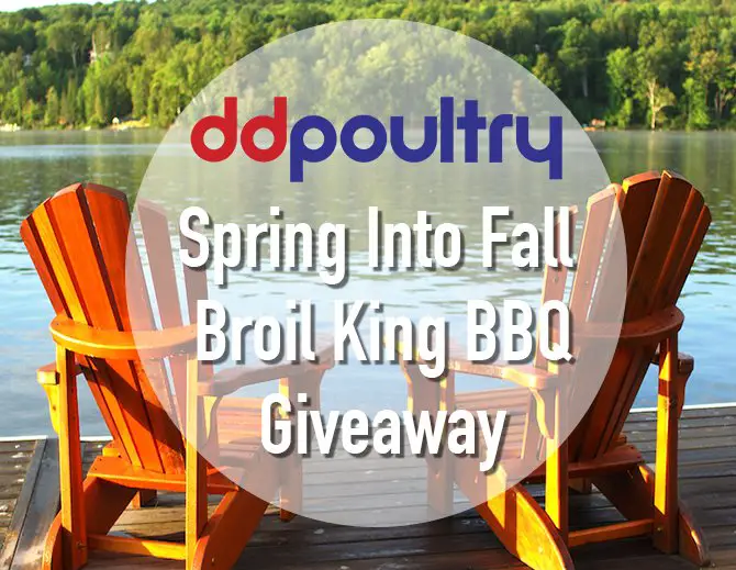 Free Cookout Materials! Grill & Chicken!