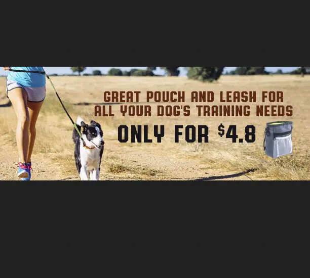 Free Dog Leash and Pouch