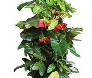 Free Indoor/Outdoor Vertical Planting System