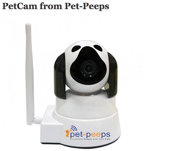 Free PetCam from Pet-Peeps