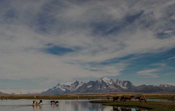 Free Trip to Chile - Enter Today!