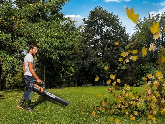 Free WORX Turbinefusion Blower, Mulcher