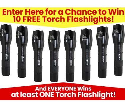 FreeFlashlight: Torch Flashlights