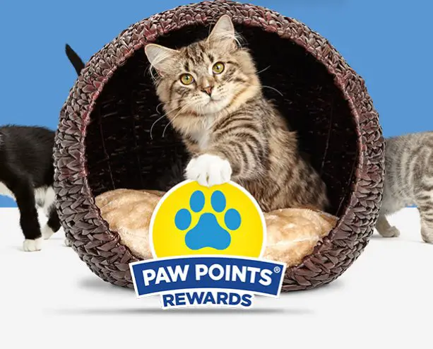 Fresh Step Paw Points $10K Split Sweepstakes