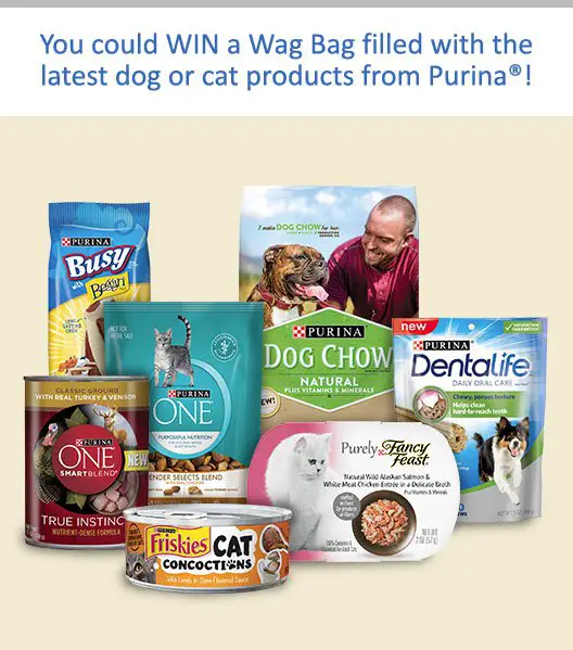 Instant Win a FULL Bag of Cat or Dog Food and Products!