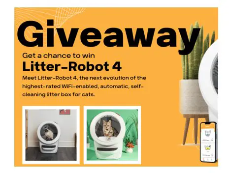 Gadget User Litter-Robot 4 Giveaway – Enter To Win A Litter-Robot 4