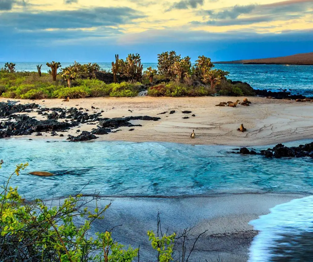 Lonely Planet Galapagos Tours