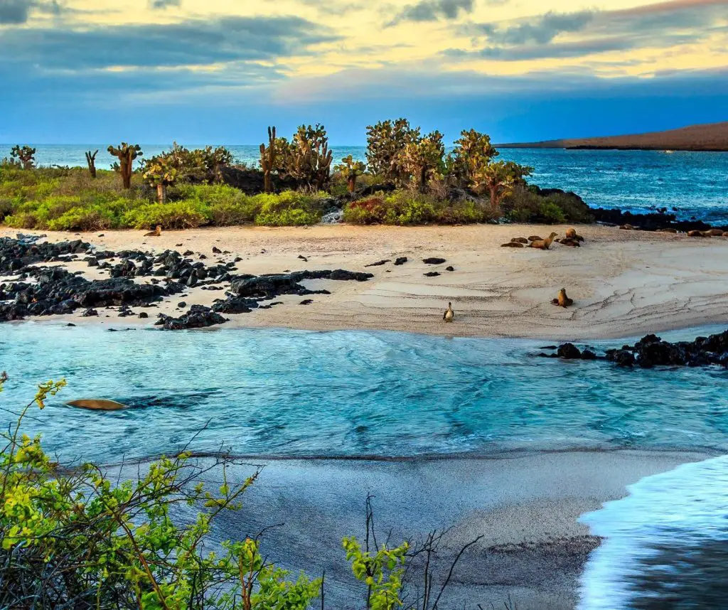 Galapagos Family Holiday Trip Sweepstakes