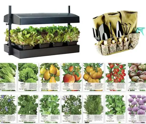 Gardening Goodies Giveaway